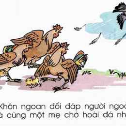 gà cùng 1 mẹ chớ hoài đá nhau