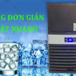 gà đá 68