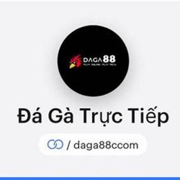 gà đá 888
