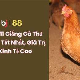 gà đá 88.net