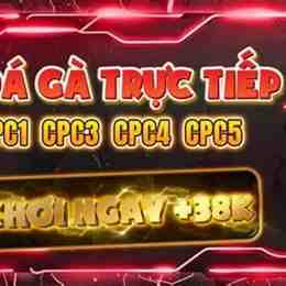 gà đá c3 trực tiếp