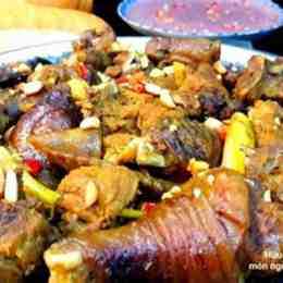 gà đá giả cầy