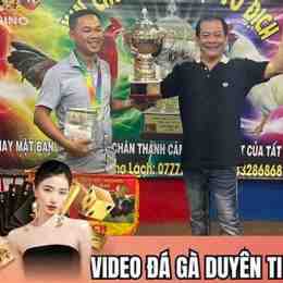 gà đá giải của duyên ti
