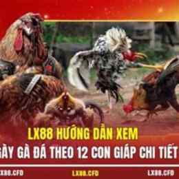 gà đá giải ngày 12 tháng 3