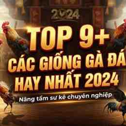 ga da hay nhat 2016