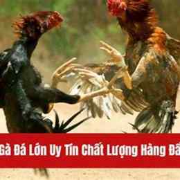 ga da mien tay