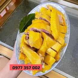 ga đà nẵng