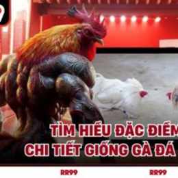 ga đa phúc