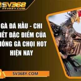 ga da ton hon