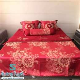 ga giường đà nẵng