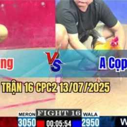 gà khét của anh 3 cọp đá