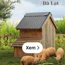 ga trại mát đà lạt
