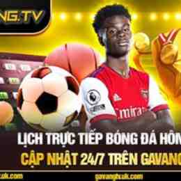 gà vàng link trực tiếp bóng đá