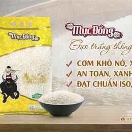 gạo trắng hạt dài