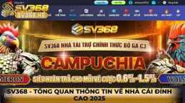 giao diện app 368 đá gà