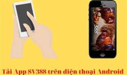 giao diện app abj388 đá gà