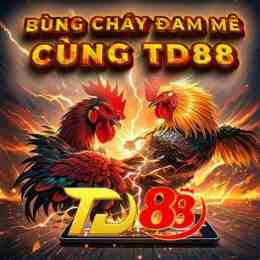 giao diện app ae88 đá gà thomo