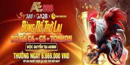 giao diện app ae888 đá gà trực tiếp