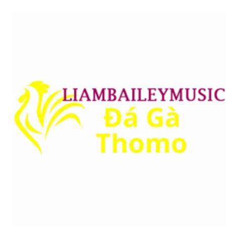 giao diện app áp đá gà trực tiếp thomo