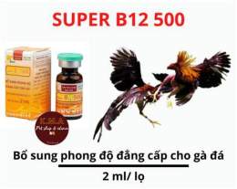 giao diện app b12 cho gà đá