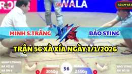 giao diện app bảo sting đá gà mới nhất