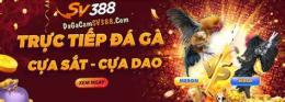 giao diện app bắt đá gà mới nhất ở tiền giang