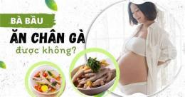 giao diện app bầu ăn da gà được không