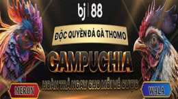 giao diện app bj388 đá gà trực tiếp