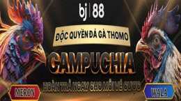 giao diện app bj888 đá gà trực tiếp