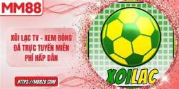 giao diện app bóng đá gà tv