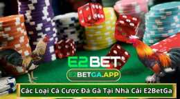 giao diện app ca cuoc da ga online