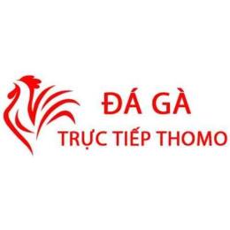 giao diện app cách đăng ký đá gà trực tiếp thomo