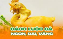 giao diện app cách luộc gà ngon da vàng k bị nứt