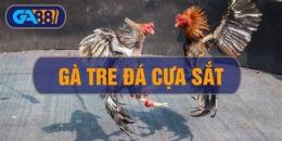 giao diện app cách nuôi gà tre đá cựa sắt