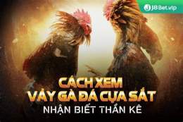 giao diện app cách xem vay gà đá hay