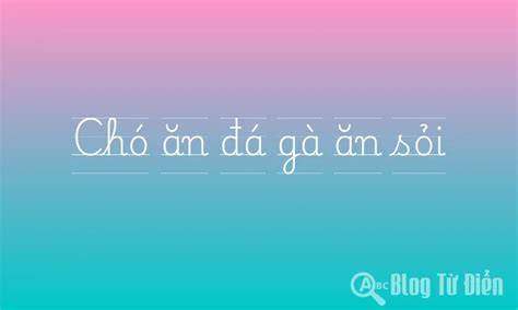 giao diện app chó ăn đá gà ăn sỏi là gì