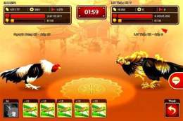 giao diện app chơi game đá gà