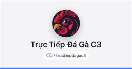 giao diện app coi đá gà c3 trực tiếp