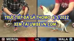 giao diện app coi đá gà trực tiếp bữa nay