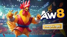 giao diện app coi gà đá trực tiếp