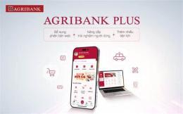 giao diện app cua ga da lam bang thep