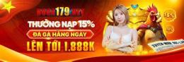 giao diện app đá gà 179 trực tiếp