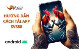 giao diện app đá gà 5/6