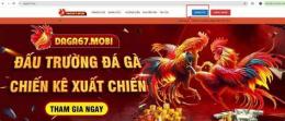 giao diện app đá gà 67 campuchia c5