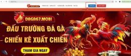 giao diện app đá gà 67 campuchia