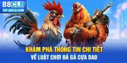 giao diện app đá gà 67 cựa dao