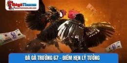 giao diện app đá gà 67 đá gà 67