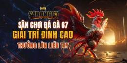 giao diện app đá gà 67 nét trực tiếp