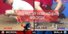 giao diện app đá gà 67 thomo hôm nay