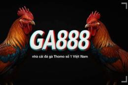 giao diện app đá gà 67 trực tiếp thomo